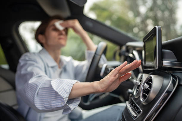 Best Air Conditioning Cleaning in Walnutport, PA